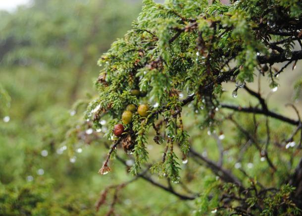 Finding Needles in Chemical Haystacks: Targeted Discovery of Bioactive Natural Products